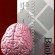 Photo of brain over a credit card