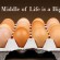 In the Middle of Life is a Big “IF”